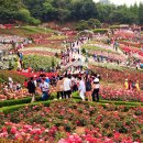 곡성-013 네이버블로그