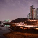 신대호수 이미지