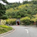 라그로타 이미지