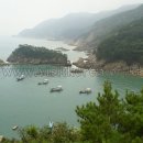 흑산도 Daum카페