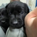 올림푸스원 이미지