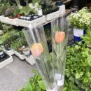 태능약국 이미지