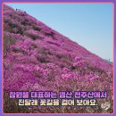 2023년04월 정기산행 - 창원 천주산(진달래군락지) 이미지