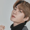 고기사이로 이미지