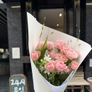 서양까치밥나무 | 서초 교대 무인 꽃집 추천, 내돈내산 서양까치밥나무 후기