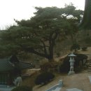 학림사 이미지