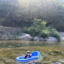 천일민박 이미지