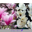 봄메디칼 이미지