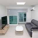 고흥-2호 이미지