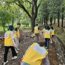 꽃무릇공원 이미지