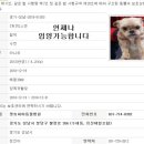 펫 앤 쉘터 동물병원 이미지