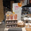 강성로 이미지