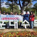 광안4동 이미지