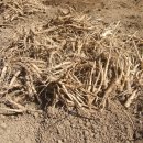 두꺼비농장 이미지