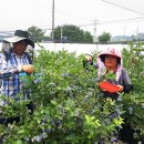 학산농장 이미지