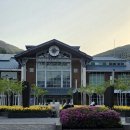 거제초 뒤 어린이 승하차구역 | [경기/광주] 9개월 아기와 화담숲 봄 방문 후기 | 주차꿀팁, 안알아보고 가서 후회한 것들, 아이와 가볼...