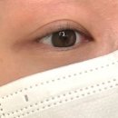 하양초등학교 | 경산 하양 속눈썹펌 잘하는 프롬에스 스튜디오 속눈썹펌 후기