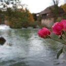 한국폴리텍 VII 대학 울산캠퍼스 이미지