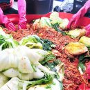 해풍달 | 절임배추를 찾을까? 해풍·황토가 키운 ‘해남 절임...해남 배추가 아삭한 이유까지 한눈에 정리한 후기