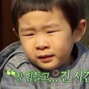 운동화손세탁이불 이미지