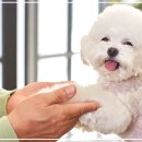 양원주동물병원 이미지