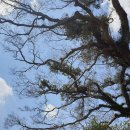 광신목장 이미지