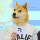개이득