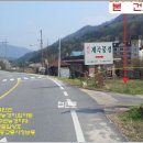 김내용농장 Daum카페