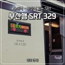 제기16 | 24년 부국제기간 수서역에서 부산역 가는 SRT 329 16호차 유튜버 햄튜브랑 함께 탑승한 후기