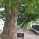 여산파출소 이미지