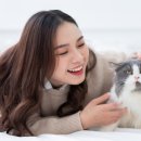향기로운공간 이미지