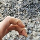 내포그린 이미지