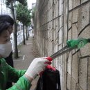 서부3리 이미지