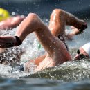 수영통상 이미지