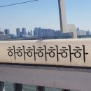 "더 화나네"..마포대교 자살 예방 문구 역효과 이미지