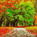 [영상음악] Nat King Cole - Autumn Leaves (고엽, 枯葉) 이미지