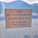 고향묵은지생삼겹살 | 청도미나리삼겹살맛집 찾는다면 여기🌿 청도 한재참미나리식육식당 솔직후기