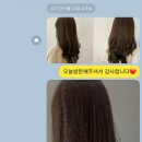 살롱드i 이미지