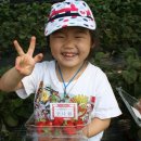 빛초롱어린이집 이미지