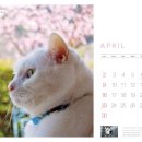 힘찬동물메디컬센터 이미지