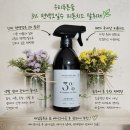 라피에 | 편백향 좋아하는 집의 선택! 우리푸른숲 3%편백오일수 피톤치드 탈취제와 라피노아 포레스트 디퓨저 후기
