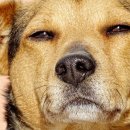 세종 바른 운동 이미지