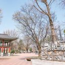 청주 영규대사 전장기적비 이미지