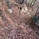 산책길-1 이미지