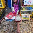 십자로 | [인천] 인천종합어시장 알쭈꾸미 샤브샤브 해먹은 후기 (+꿀팁, 시세, 점포 추천)