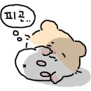 더홀릭보드게임왕십리역점 이미지