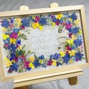 초등 음악줄넘기 | '렛츠점프 음악줄넘기 청주산성센터' 소개