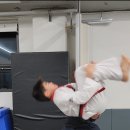 용인대백호 태권도장 이미지