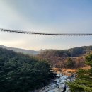 무병장수 둘레길 Daum카페