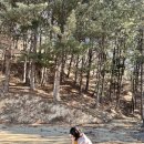 하추리민박 | 강원도 인제 독채펜션 하추리민박 가족여행 숙박 후기